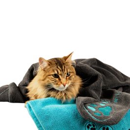 Show Tech – מגבת מייקרופייבר לכלבים וחתולים – מספרות