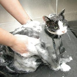 Show Tech – שק רחצה לחתולים