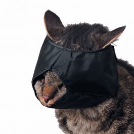 Show Tech – סט 3 מחסומים לחתולים / כלבים קטנים – פחוסים