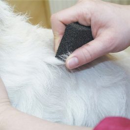 Show Tech – אבן מריטה מרובעת L