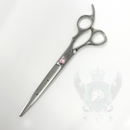 Ashley Craig – מספרים ישרות '8 Harlequin Series