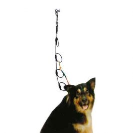 ARTERO – רצועת ריסון אנכית VERTICAL STRAP