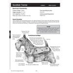 NotesGroomingTable_2ndEd_1